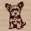 Small Dog Breed Icon Small breed dog with a distinctive coat pattern, sitting on a plain background.