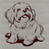 A small-sized white Havanese dog sitting on a surface with a calm expression.