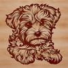 A small breed dog lying on its side with a gentle expression.