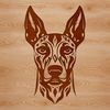 A detailed illustration of a Doberman Pinscher's head with an ornate design.