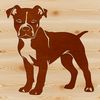 Majestic Pitbull Portrait A standing adult Pitbull breed dog with distinctive features.
