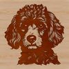 A vector illustration of a Poodle's head with intricate details.