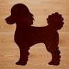 Line Art Poodle Vector Image A standing poodle depicted as a line drawing for vector design and cutting machine use.