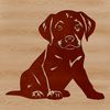 Friendly Labradoodle Sitting Portrait A seated adult Labrador Retriever with a neutral expression.