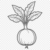A detailed illustration of a radish root vegetable in vector format.