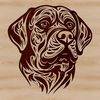 A high-resolution digital illustration of a Rottweiler dog's head with detailed features.