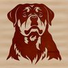 Rottweiler Portrait Vector A realistic illustration of a Rottweiler's head, suitable for vector graphics design.