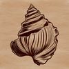A high-quality vector image of a seashell, perfect for crafting and DIY activities.