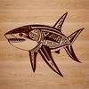 A detailed illustration of a shark in the ocean.
