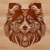 Close-up illustration of a Shetland sheepdog's head with intricate facial features.