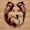 Illustration of a Shetland sheepdog's head with detailed features.