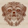 Cuddly Dog Face Illustration Close-up illustration of a Shih Tzu's face with a distinctive head shape and facial features.