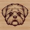 Shih Tzu Head Silhouette in Digital Format A vector illustration of a small breed dog's head with distinctive features.