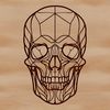A detailed illustration of a human skull with a bold design style, suitable as a Halloween decoration or tattoo design.