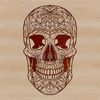 A detailed illustration of a skull, suitable as a vector design element.