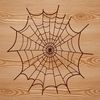 A detailed illustration of a spider web made up of intricately connected lines and nodes.