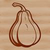 A detailed vector illustration of a squash, suitable for cutting machine projects.