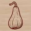A detailed, high-quality illustration of a squash, suitable for vector art projects and designs.