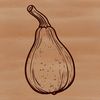 Beautiful Summer Squash Design A detailed illustration of a mature squash on a white background.