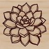 Succulent Plant Graphic Design A detailed illustration of a desert succulent plant with thick fleshy leaves and stems.