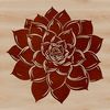 Vector illustration of a succulent plant for gardening designs and projects.