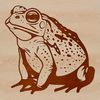 Warty Toad Portrait Illustration A close-up illustration of a toad's face, featuring a distinctive warty texture and large eyes.