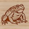 Beautiful Toad Clip Art SVG A detailed illustration of a wild animal, specifically a toad, suitable for vector design or clip art projects.