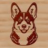 A small to medium-sized dog breed with short legs and long body, featuring a distinctive head shape.