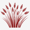A detailed vector illustration of a wheat ear, suitable for various graphic designs.