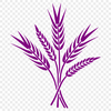 Wheat grain illustration in vector format.