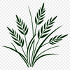 Beautiful SVG Wheat Design for Cricut and Laser Cutting Wheat illustration in vector format for commercial and personal use.