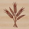 Illustration of a single wheat stalk with detailed lines and shapes.