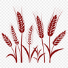 A detailed silhouette illustration of a wheat stalk in vector format, suitable for commercial or personal use.