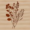 Vibrant Blooms Illustration A realistic illustration of a wild flower in bloom, suitable for print and digital use.