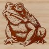 A detailed illustration of a wild toad in various poses for vector design.
