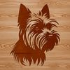 Cute Yorkshire Terrier Portrait A close-up illustration of a Yorkshire Terrier's head.