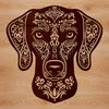 Beautiful Vector Design Illustration Dog Illustrated Weimaraner dog breed in a vector design format.