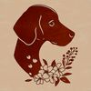 A Weimaraner breed dog sitting on a floral patterned background.