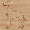 Vector Weimaraner Animal Graphic Design A standing Weimaraner dog breed illustration in vector format.
