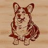 Sitting Welsh Corgi Illustration A realistic illustration of a sitting Welsh Corgi breed dog as vector art.