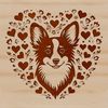 A cute Welsh Corgi breed dog with heart symbols on its head.
