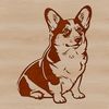 Cute Welsh Dog Breed Portrait A sitting Welsh Corgi dog breed portrait in vector format.
