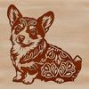 A sitting Welsh Corgi breed dog with ornate features.