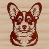 Welsh Corgi Dog Breed Illustration A vector illustration of a Welsh Corgi dog's head with detailed features.