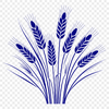 A simple illustration of wheat in vector format.