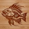 A detailed illustration of a Crappie fish, suitable for various digital designs.