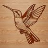 A close-up illustration of a hummingbird's head and body, showcasing its distinctive beak and vibrant plumage.