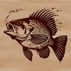 A detailed illustration of a crappie fish with intricate details.