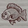 Beautiful Freshwater Fish Art A colorful illustration of a Crappie fish in various colors.