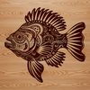 A Wild Crappie Illustration A detailed vector illustration of a wild crappie fish, suitable for graphic design projects.